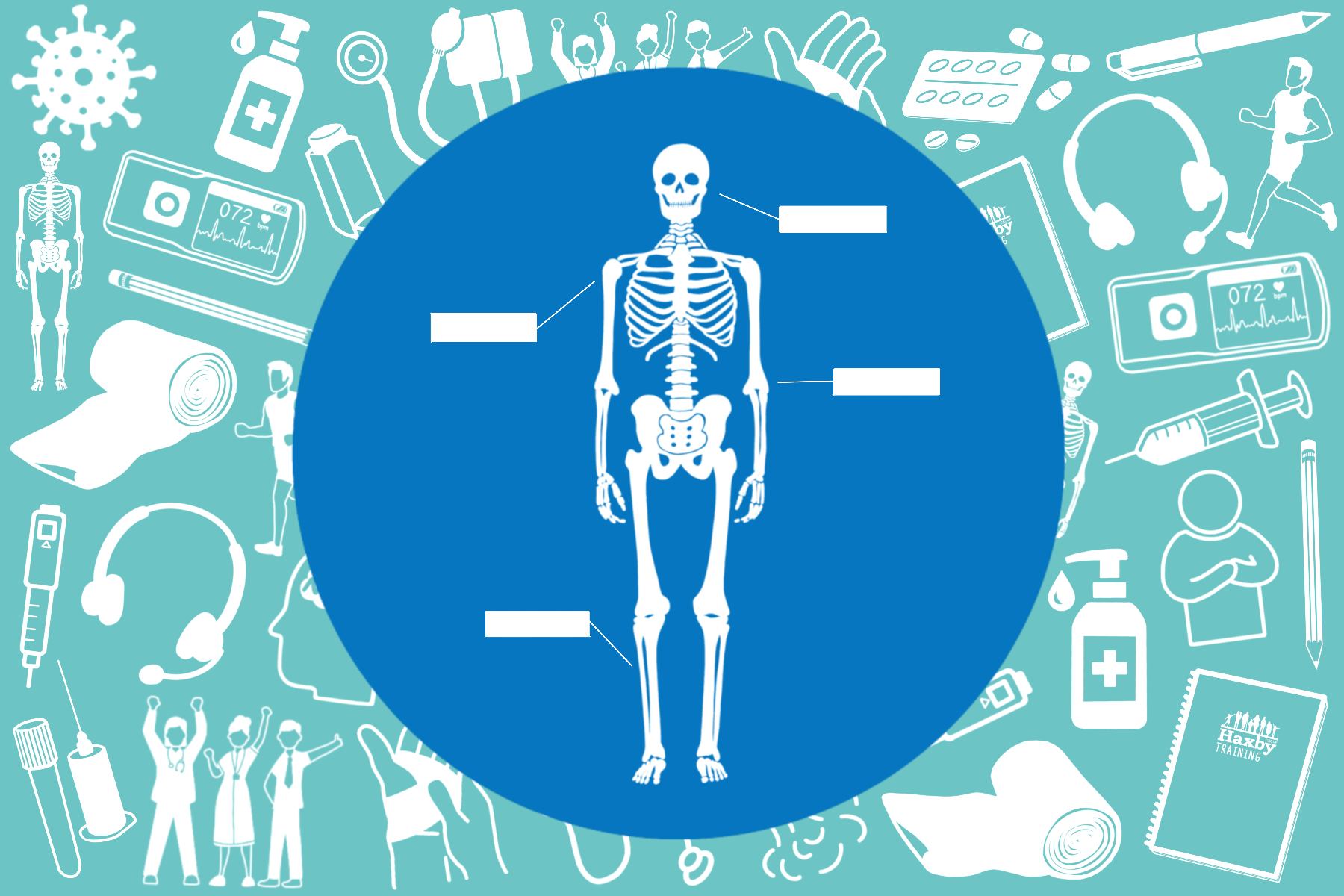 medical-terminology-haxby-group-training